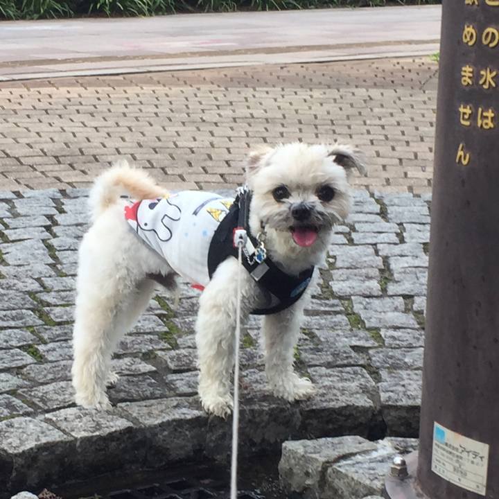 4279116c 7ce5 4db8 a340 d4847d35250d