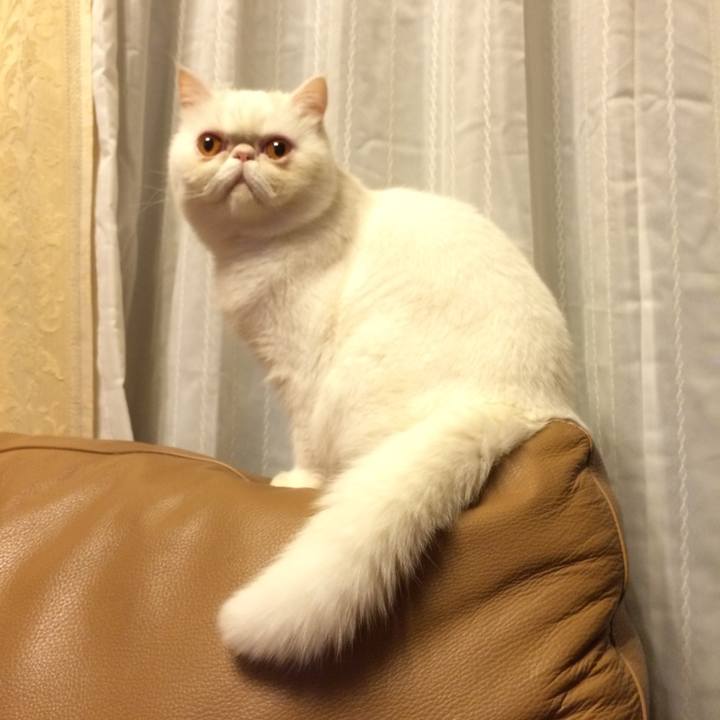 427983f2 5fb1 487b a44d 35260376f07c