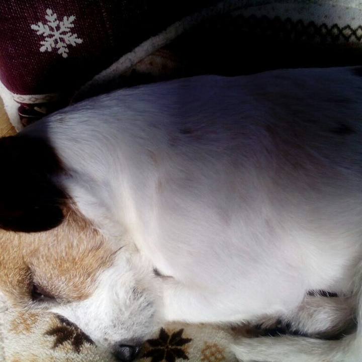 42799b76 938d 4d93 98b3 ddbd905756a4