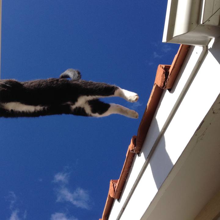 4279aa42 e8c8 4d0a 9f8a 73f94cc9585d