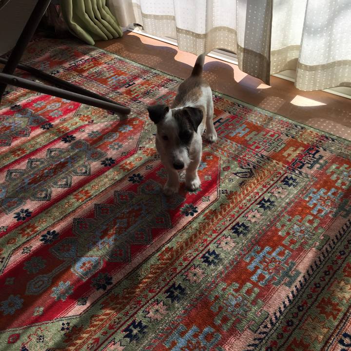 4279e07b 5bff 49e5 ab26 9c026b6d0481