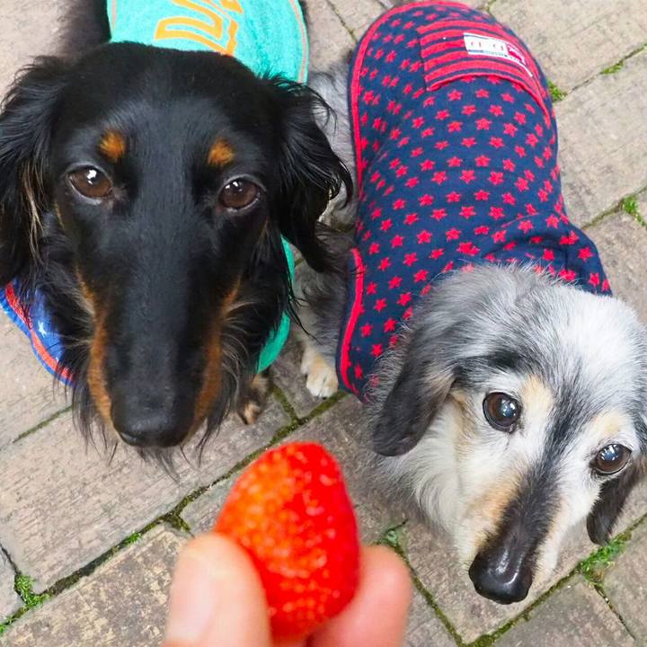 427aeda5 e710 4b61 881e 7e858b2f646f