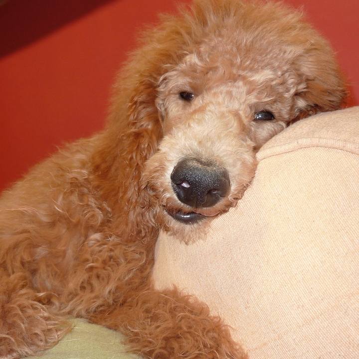 427b0160 c702 4e82 9d9c f4ae031ff7bd