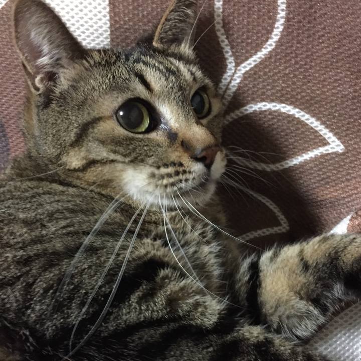 427bbc2a 5f46 4c55 9297 89ac2691bdfe