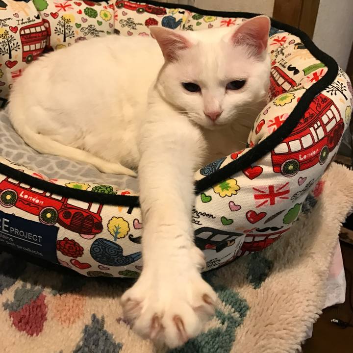 427c2b52 b7c6 464d 8706 62eaeb3db586