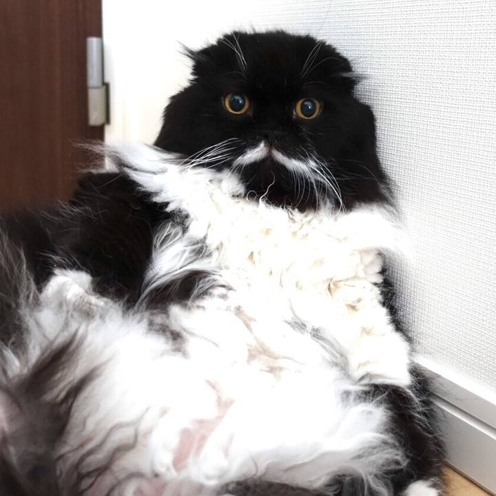 427c4669 ed45 490e 9bdf bf15086aca4a