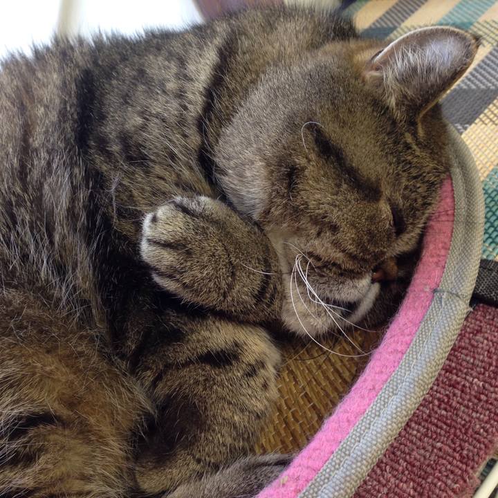 427c58cf b77e 40b7 a29b db7807c2ab49