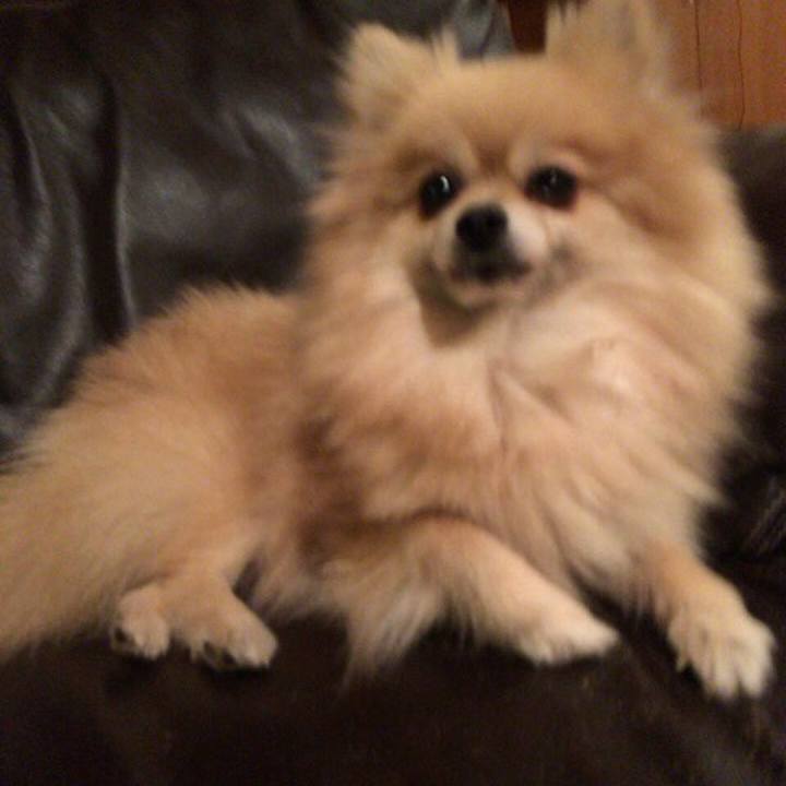 427ca9fd 2738 426c 836f 2b153afe4c3b