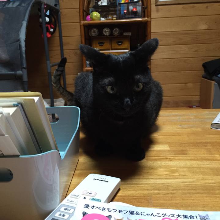 427d06de 9862 4534 8ad4 be62d37efbb0