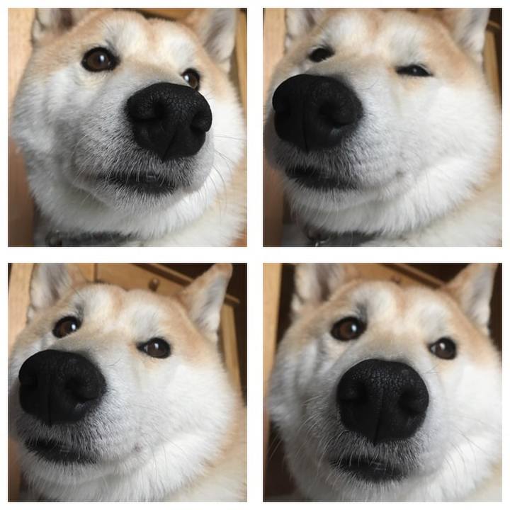 427d7d5c 1dc1 4487 be19 2a705788f1aa