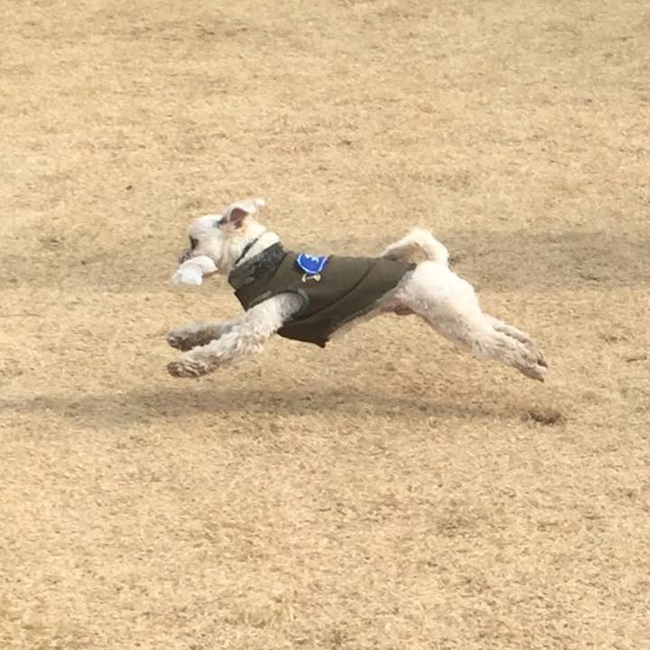 427d9854 5e07 4f9e 9c39 1df4e4626128