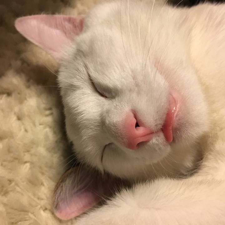 427e5cc4 da2a 4581 a8af 6be8c5894b4f