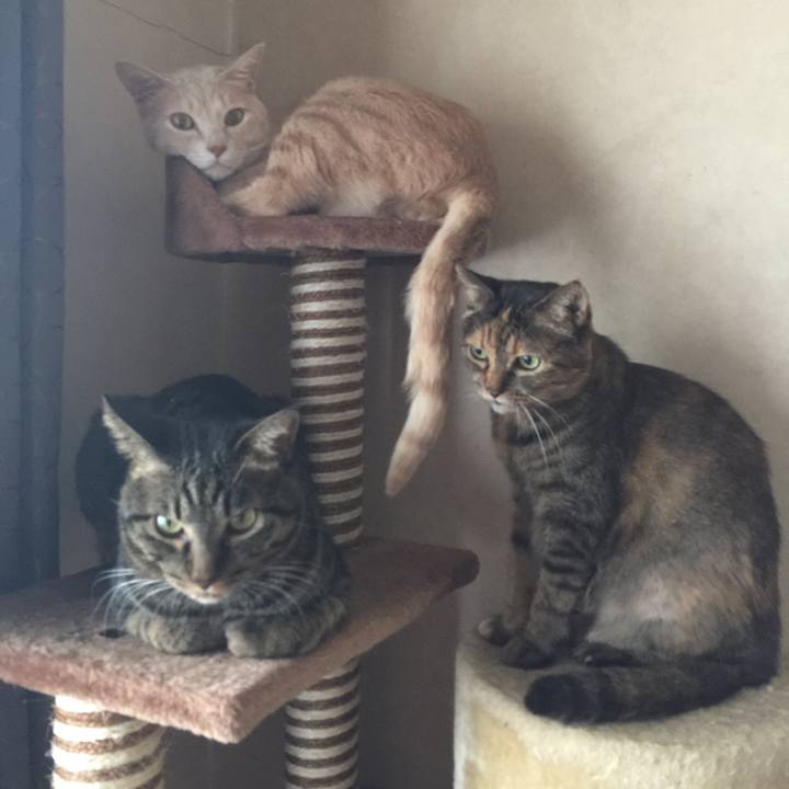 427e6915 1563 4632 8124 fbafb420275b