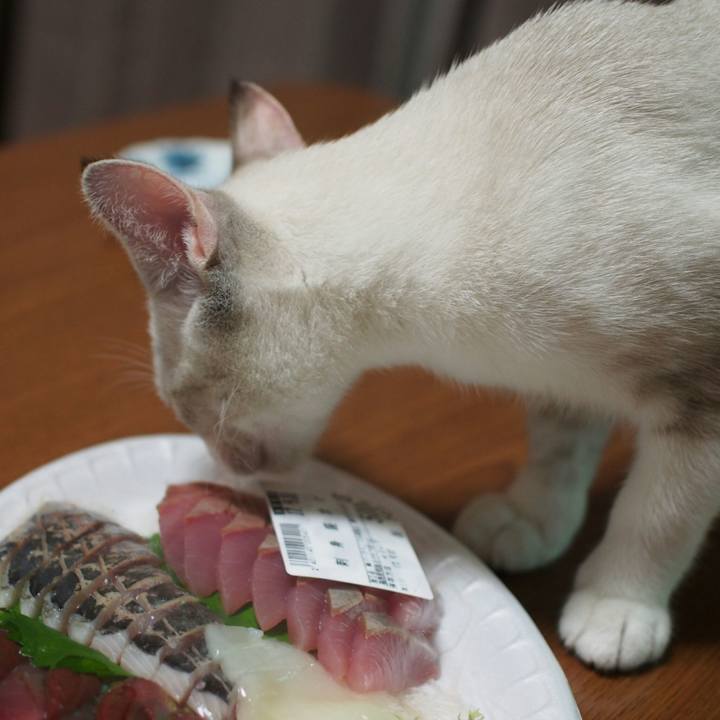 427e6bc7 608a 484b 9a5d 3b3ca39b9713