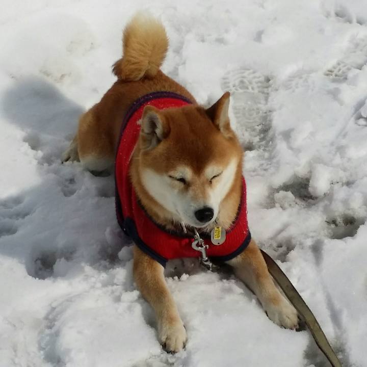 427e9045 f219 44d9 9f96 84ddfa2b4eec