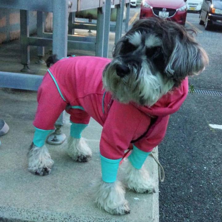 427ee56f 283e 48a5 b38e b93da28f285e