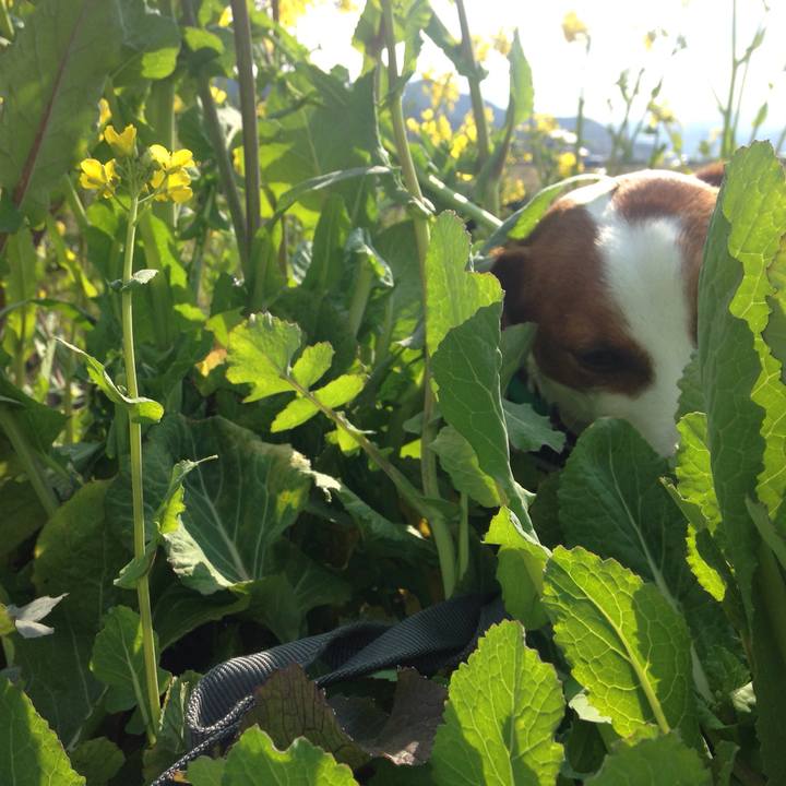 42806d8d 962a 4d0a 918e 6d6b61a77dfb