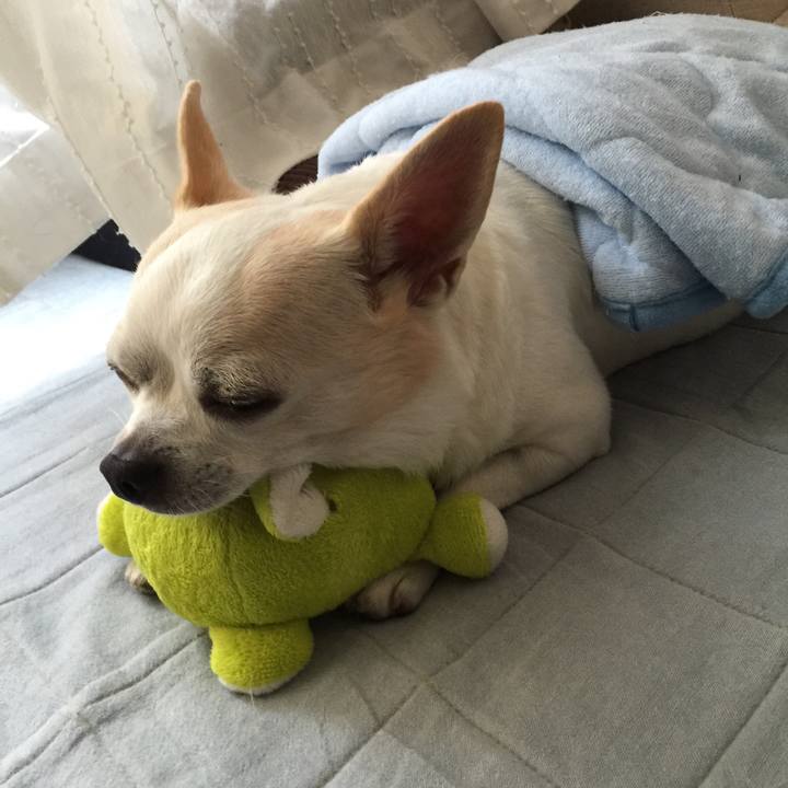 42806e1b 4d1d 46b8 8c32 28873c55b6b2