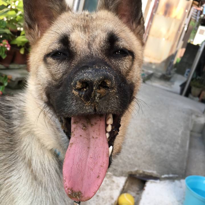 42807e04 c57f 4d61 9648 6ac4bb58b9bd