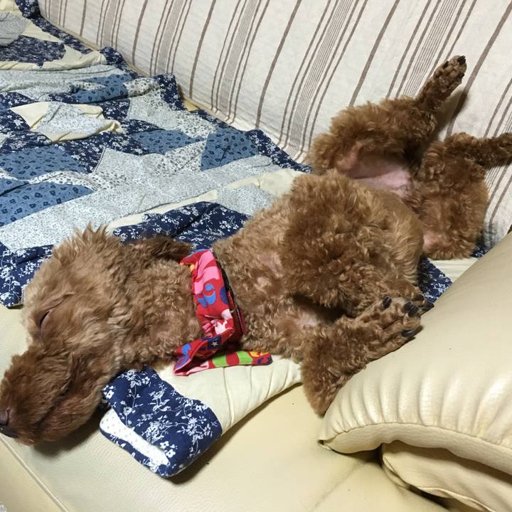 4280916b 1460 4637 8853 14c165540d34