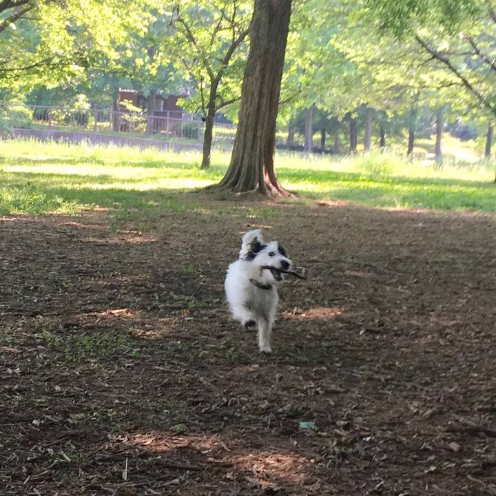 4280963a cf65 4d9a 980f 279f65270f82