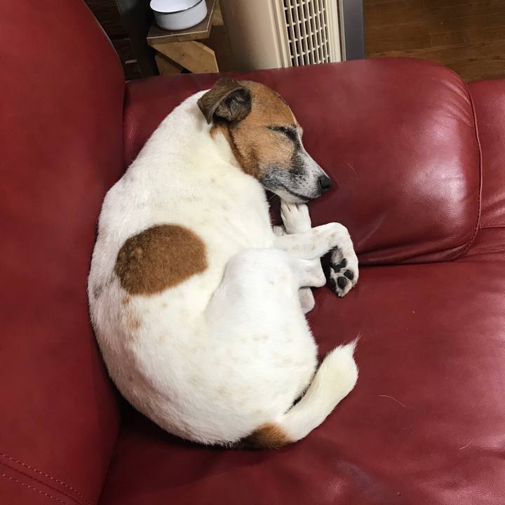 4280ab59 7ecd 4859 8aec 6d0abbd9caa2