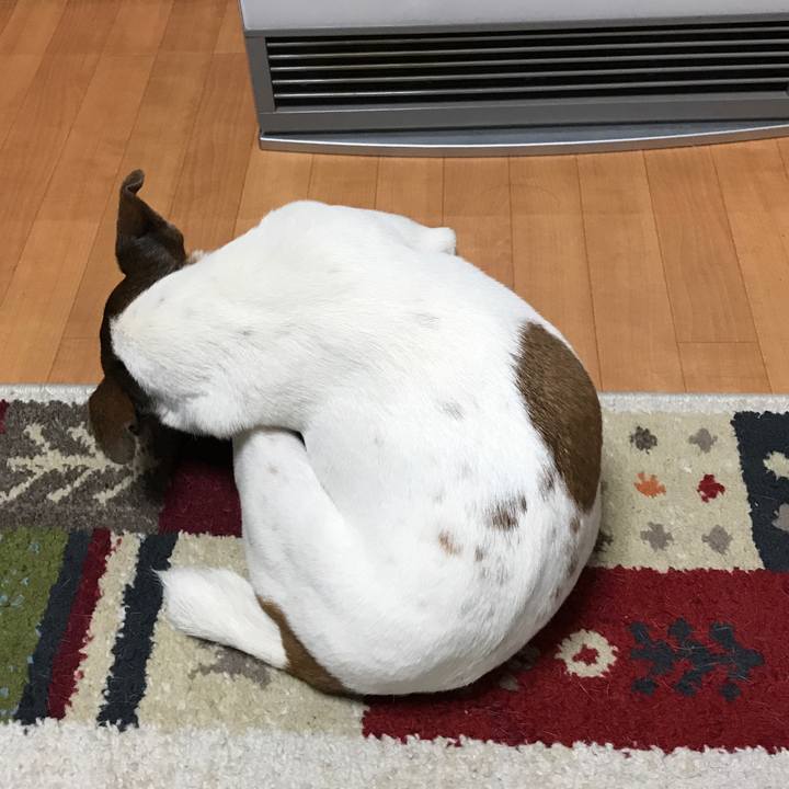 4281428c b2ab 472b 8d48 d81f62ebfec3