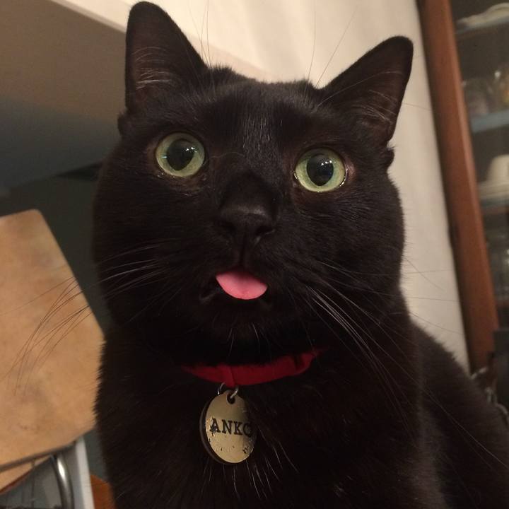 4281a5b0 bd7c 4d2d ae1c d09da838c670