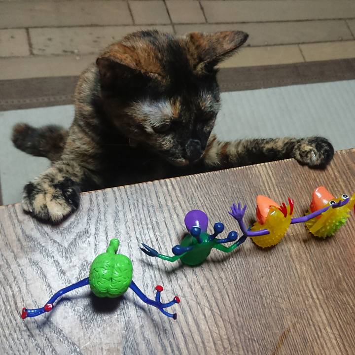 42821905 778f 4f27 be67 92f760c3f929