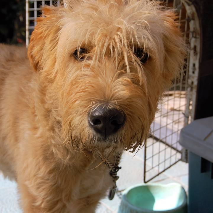 42826257 2c6d 4bfb 930b eaabc43f20bb