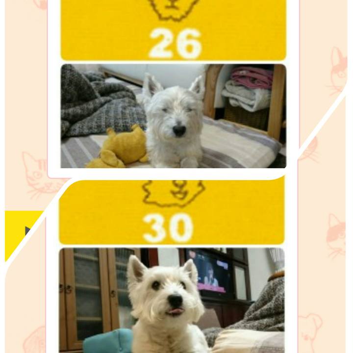 428267b0 a915 454b 8f36 71ce431e81ad