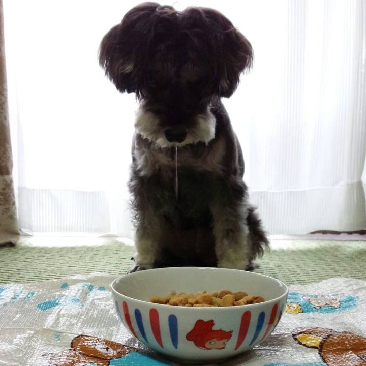 4282a80f 6683 4e1d a46d ca648880aea5