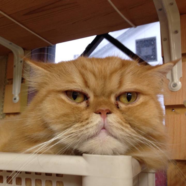 4282e5d5 e504 4a5b 9182 9479c02b76ca