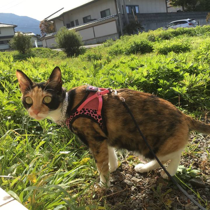 42831e69 f681 463f b695 1a550c4b8b4a