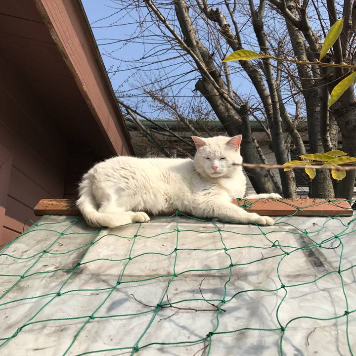 428357d6 04a1 4ff4 9523 4626a7e6cfa4