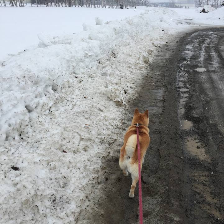 4283901c fe47 43e1 88c7 00292423d2eb