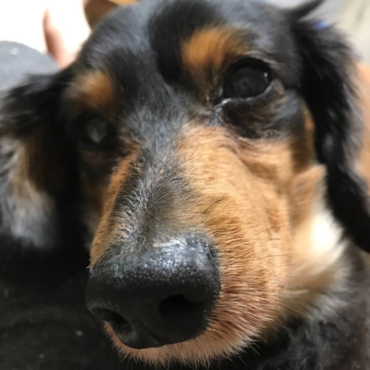 42844aaa 32e4 427a b852 dd0ba1e5e01e