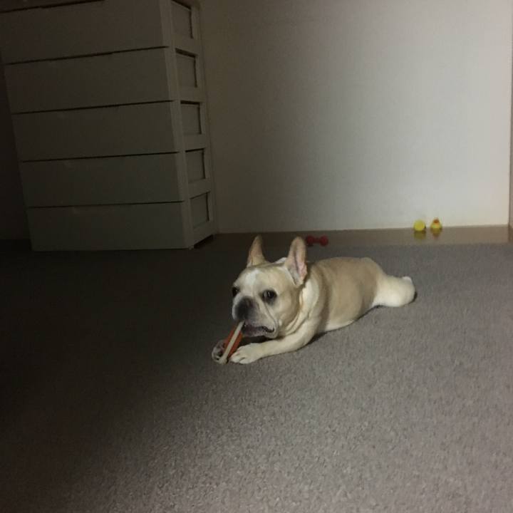 42847386 4076 4d0e 9a85 ad6b0e9f9141