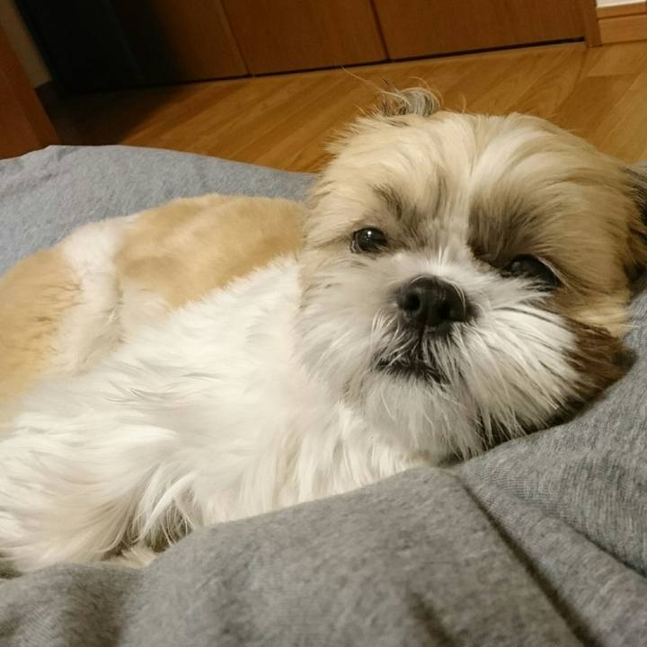 428477da dd67 49c7 b9db 96c0a2845c17