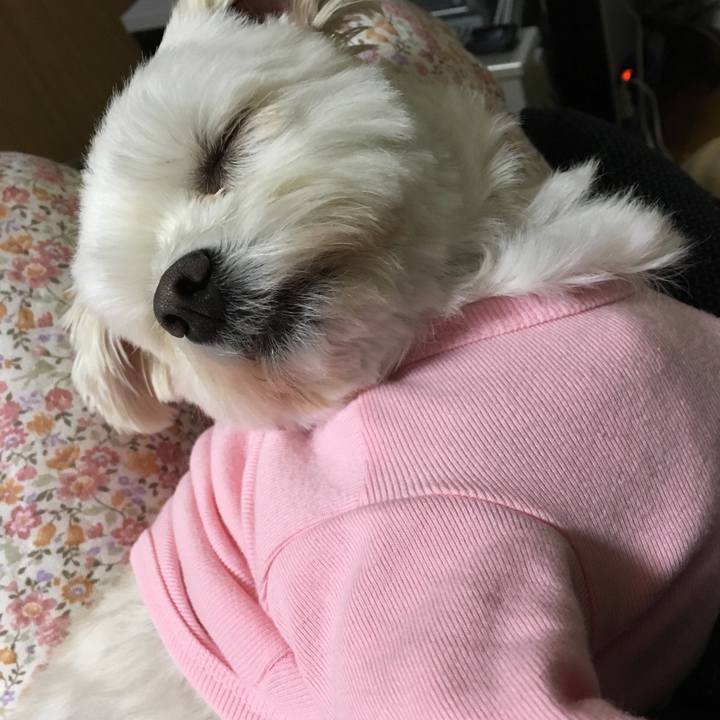 4284b108 c3c3 4c65 9a68 46018b67aa99