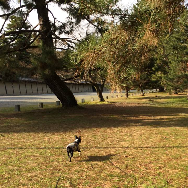 4284be2a 8adf 4323 b5cc 1d8ffb919398