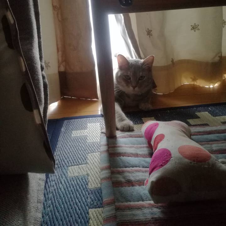 4284d615 68cc 4a3f b155 3b495632aa9d