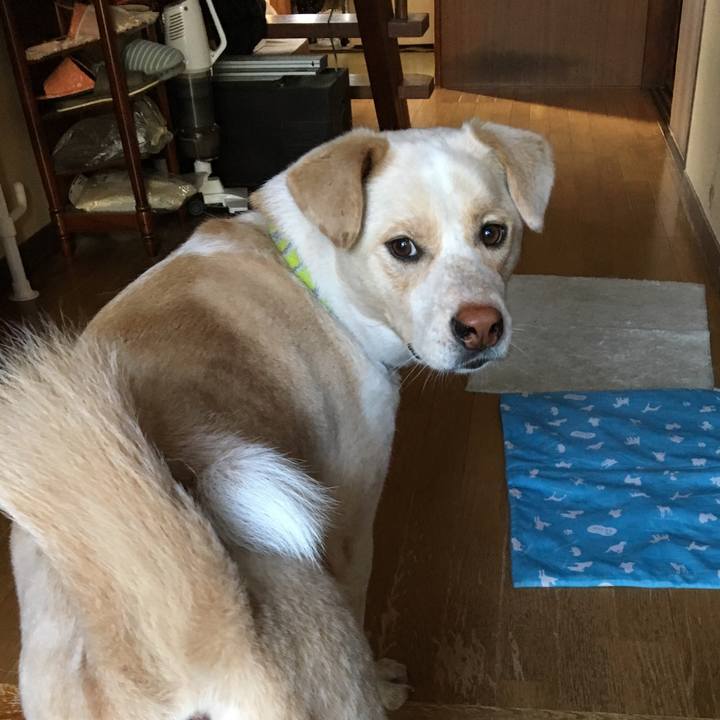 428533a2 ca8f 4729 b35b d4f15908e41b