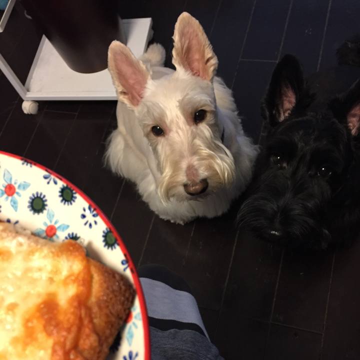 4285746d 1209 449d 9979 06ad6fe5b168