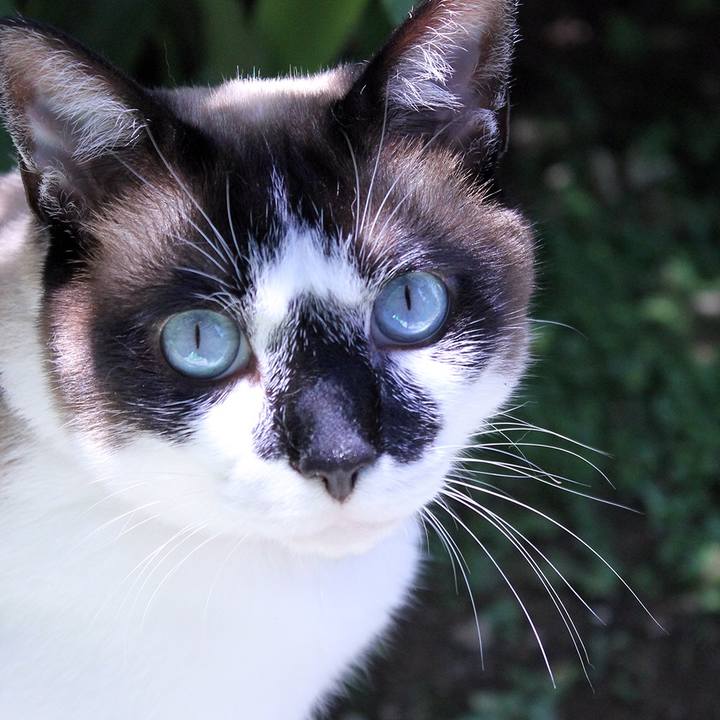 4285882f 2a2d 4c2a 963f c39538388e31