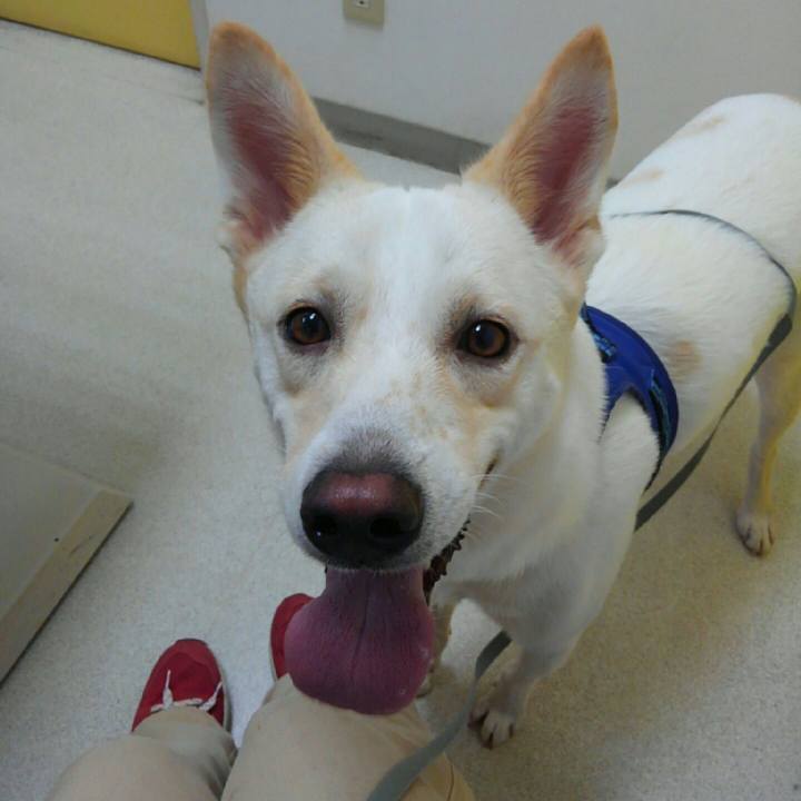 42858dba 7ecb 4bd7 8809 0a8fbf154dc8