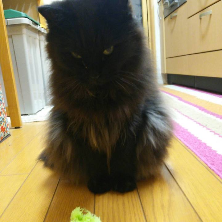 4285b3fa 929c 4611 88e3 3722dba105b4