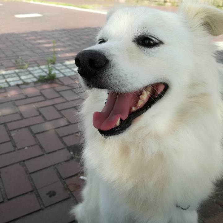 4285baca 7373 4b89 986a 626b18c7f684