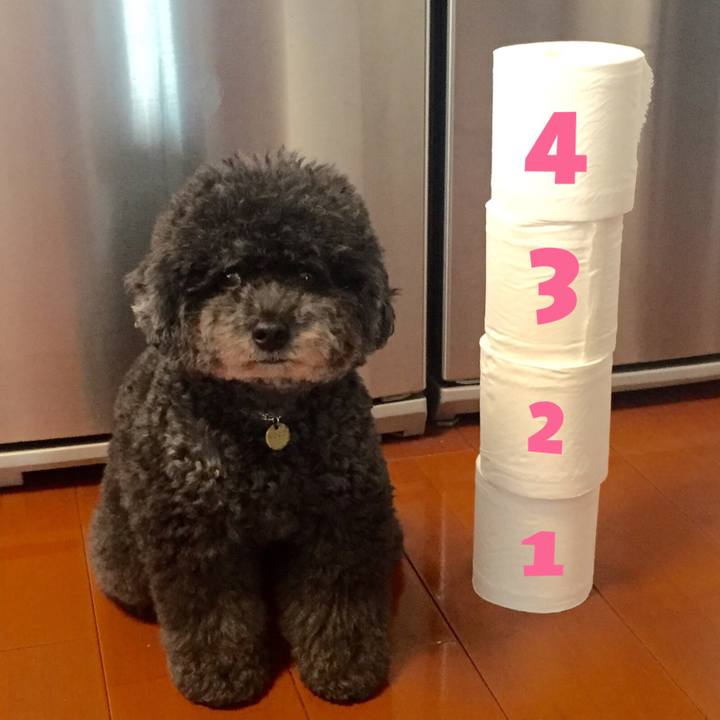 428627e5 6760 4740 a3f9 679c90d72dc4