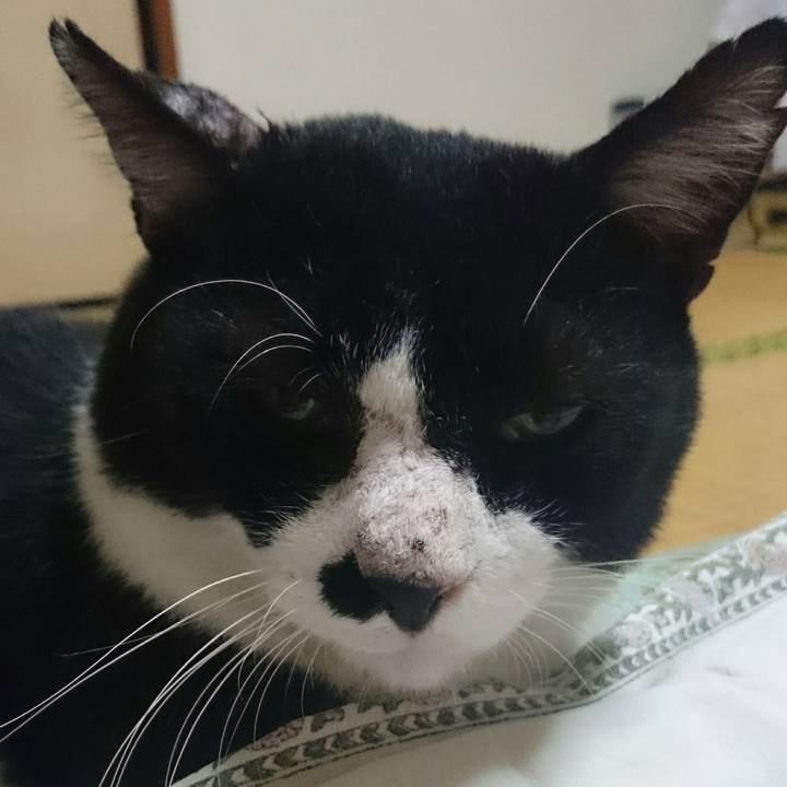 428633c0 a7ce 41ca 84c1 a91e7b5383fb